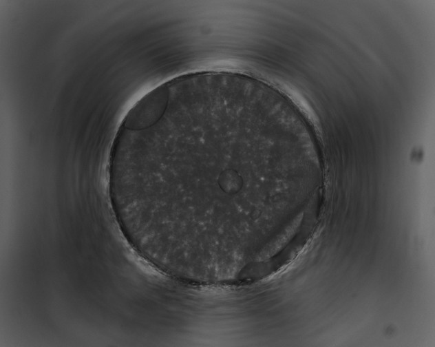 X0000100750944200807171408