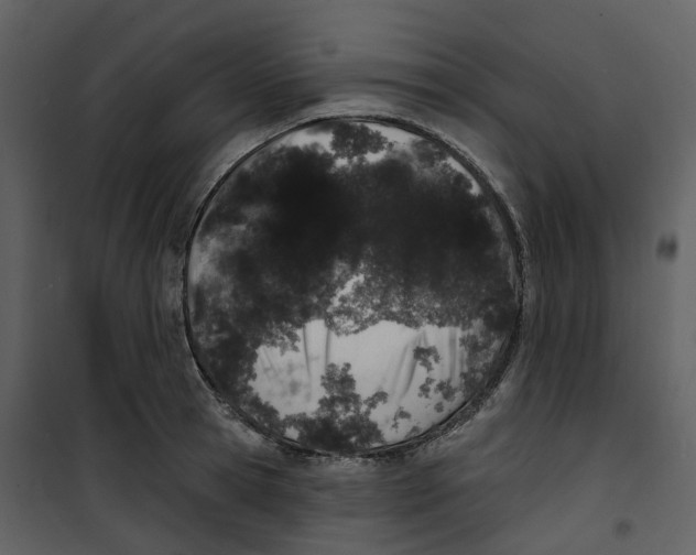 X0000100750945200807171408