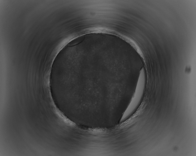 X0000100750946200807171408