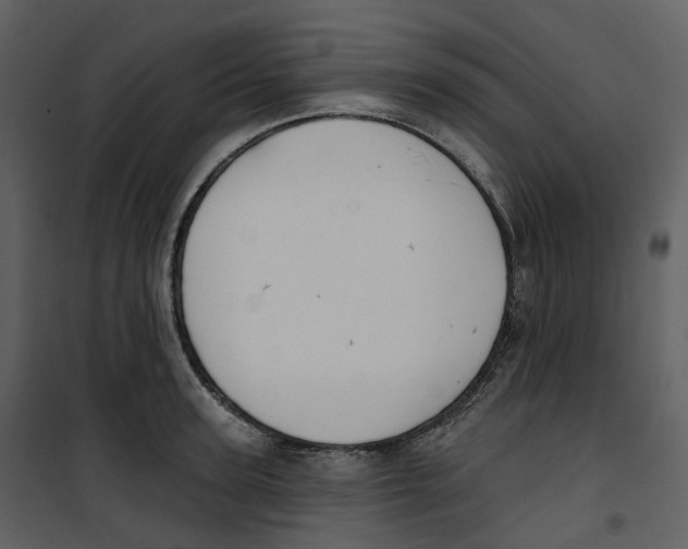 X0000100750947200807171408