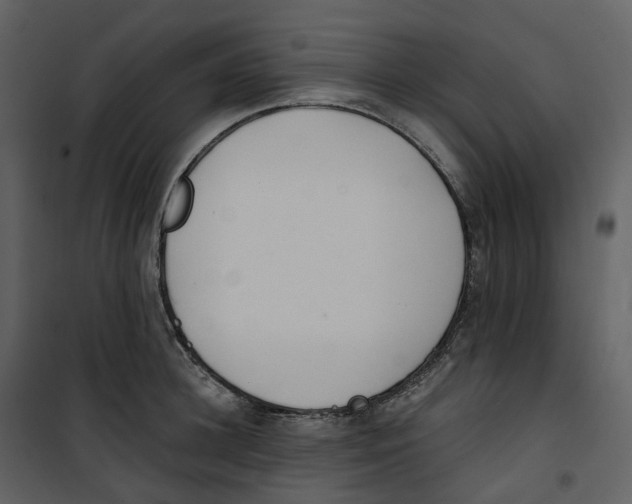 X0000100750948200807171408
