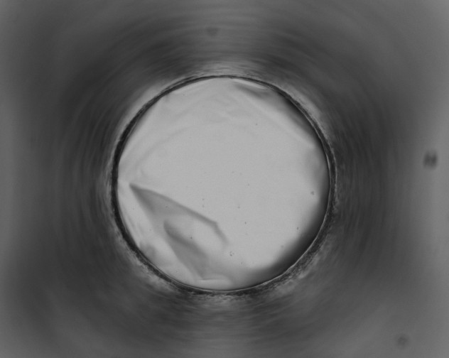 X0000100750949200807171408