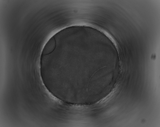 X0000100750951200807171408