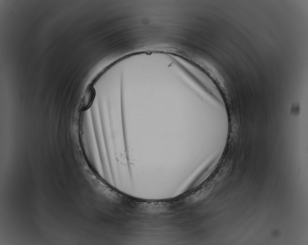 X0000100750952200807171408