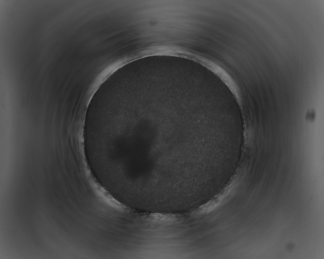 X0000100750954200807171408
