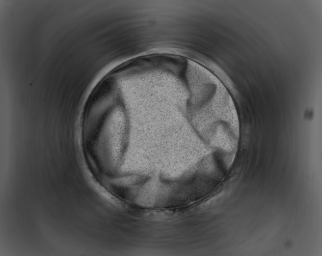 X0000100750955200807171408