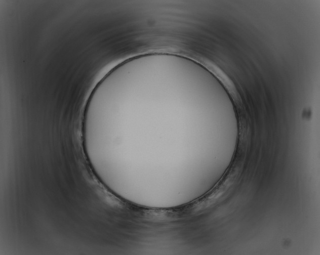 X0000100750956200807171408