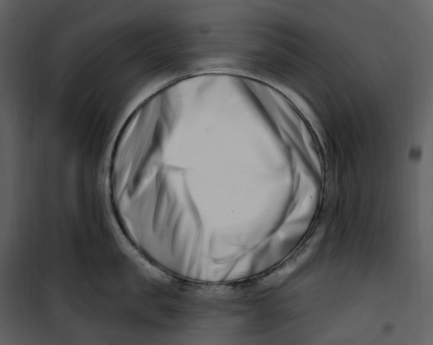 X0000100750957200807171408