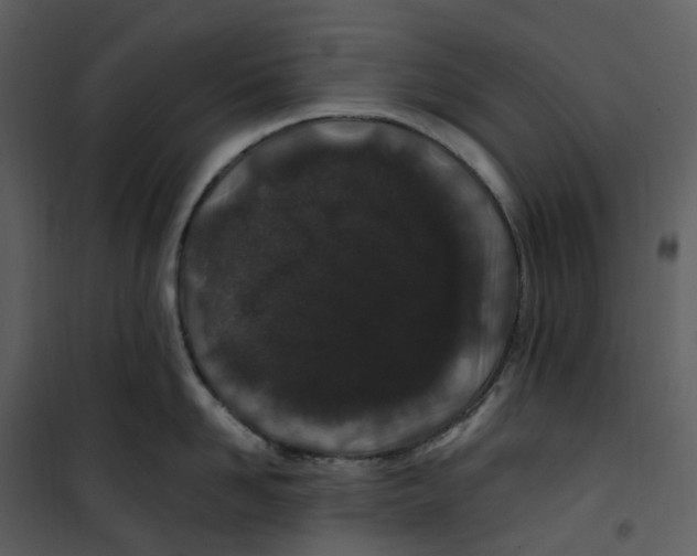 X0000100750958200807171408