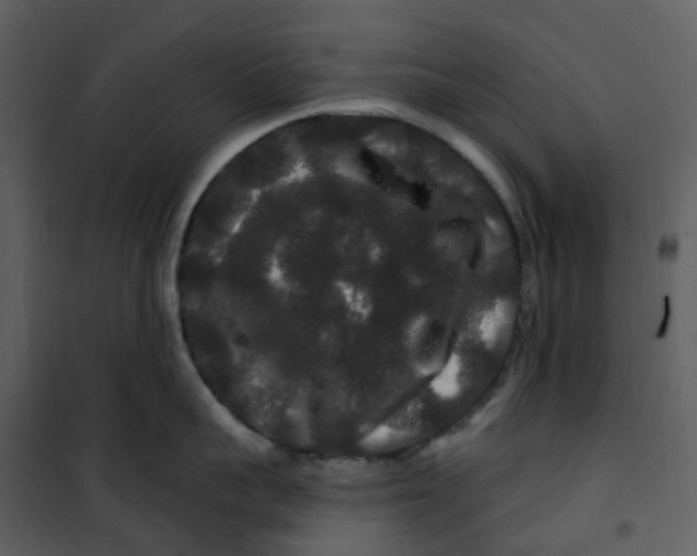 X0000100750959200807171408