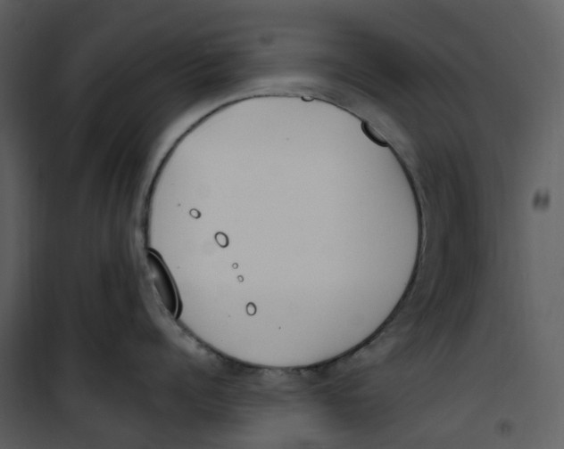 X0000100750960200807171408