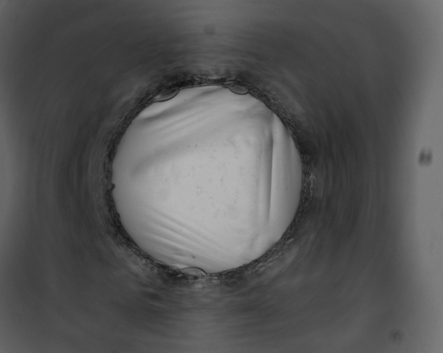 X0000100750961200807171407