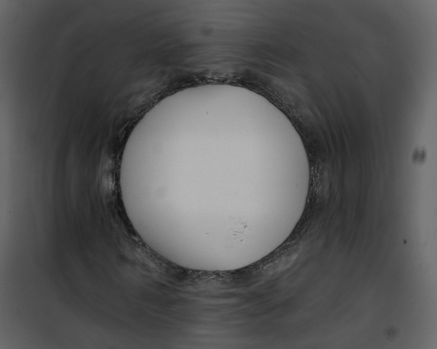 X0000100750962200807171407