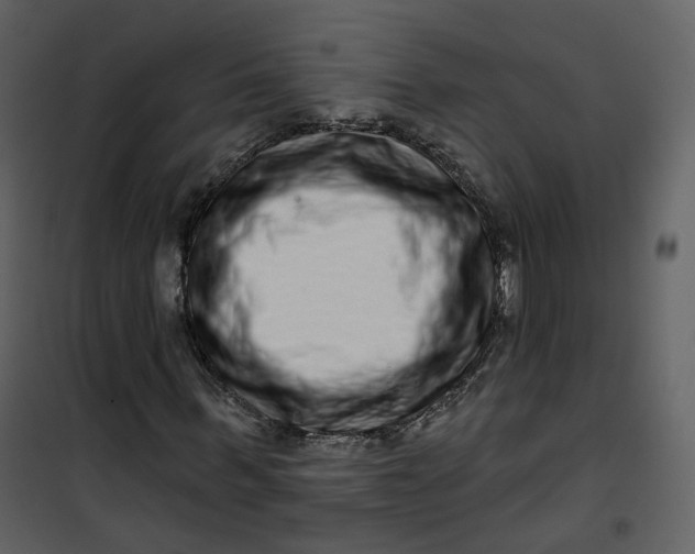 X0000100750963200807171407