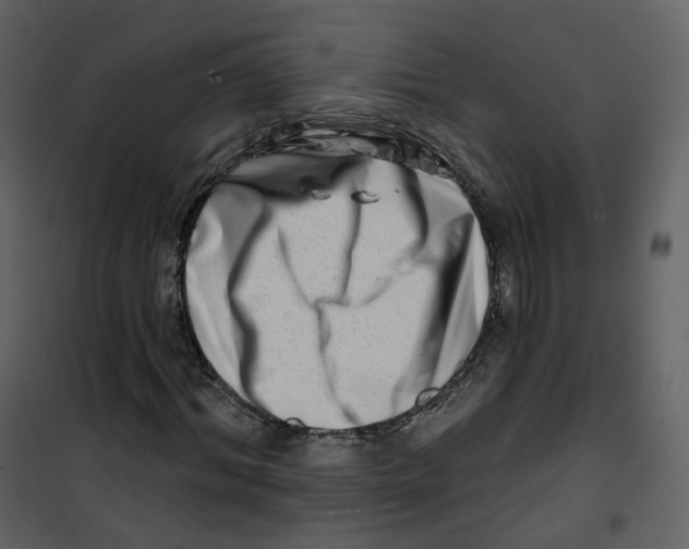 X0000100750964200807171407