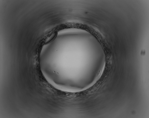 X0000100750965200807171407