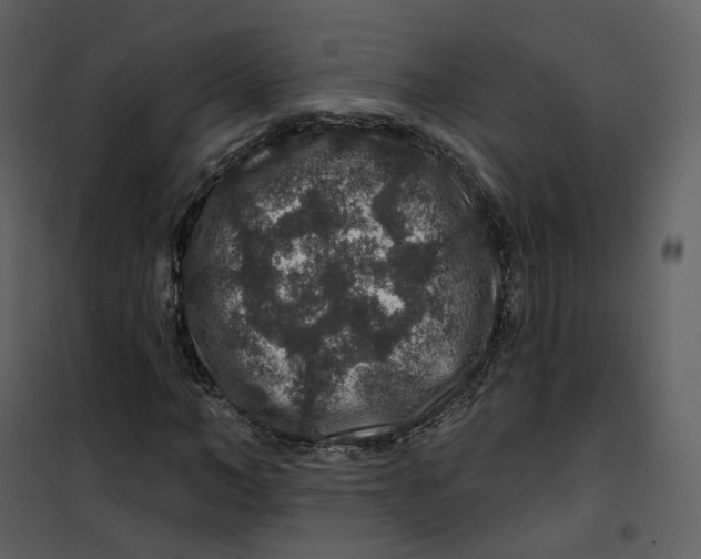 X0000100750966200807171407