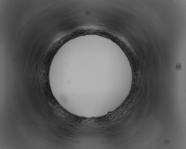 X0000100750967200807171407