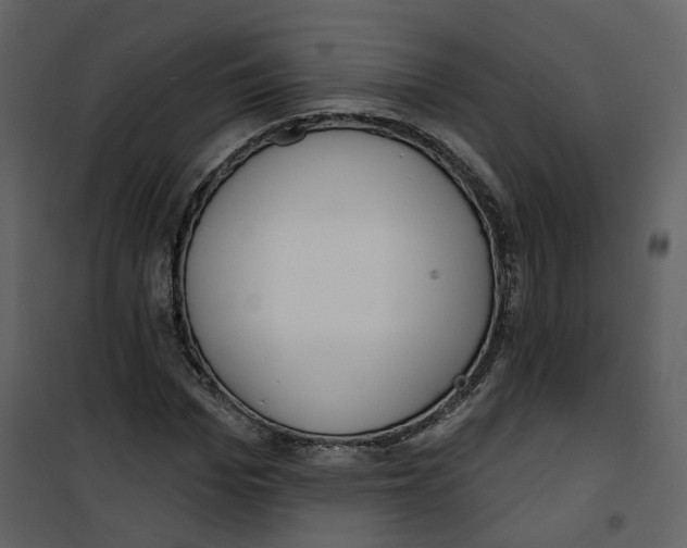 X0000100750969200807171407
