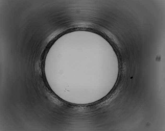 X0000100750970200807171407