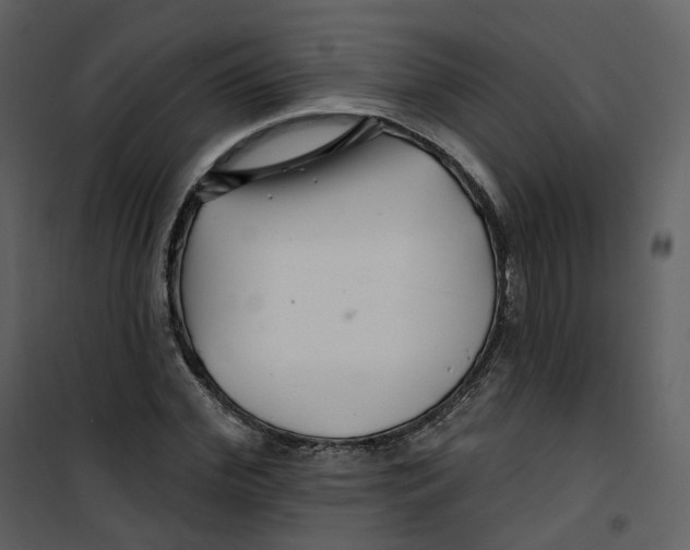 X0000100750972200807171407