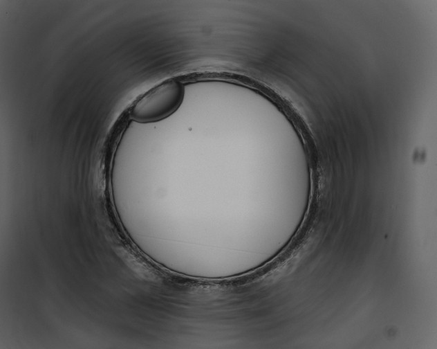 X0000100750973200807171407
