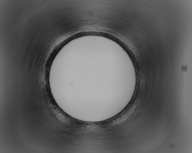 X0000100750974200807171407