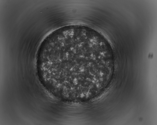 X0000100750975200807171407