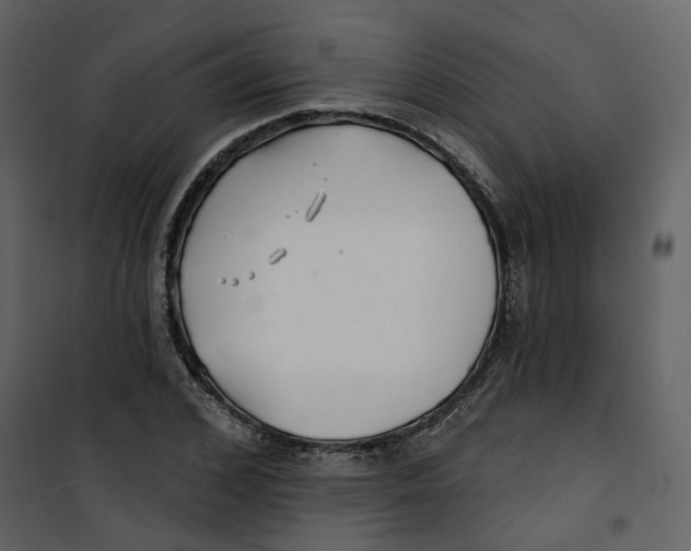 X0000100750976200807171407