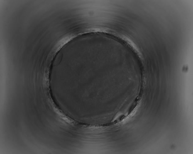 X0000100750977200807171407