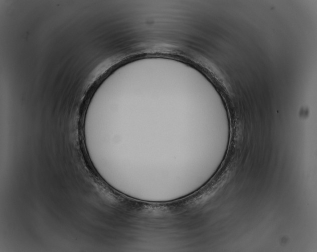 X0000100750978200807171407