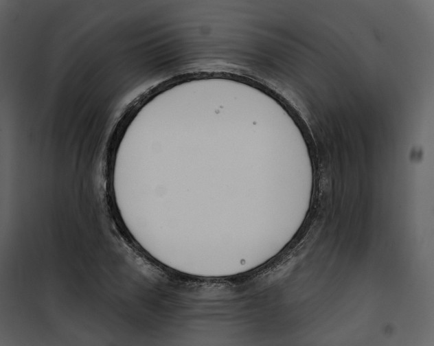 X0000100750979200807171407