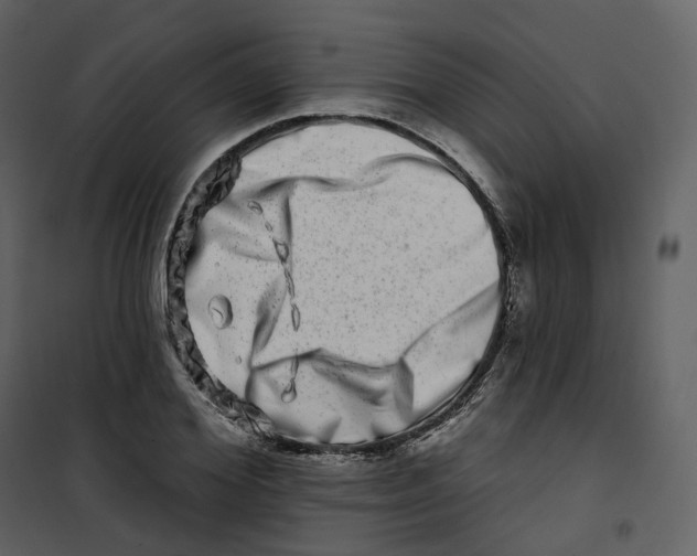 X0000100750980200807171407