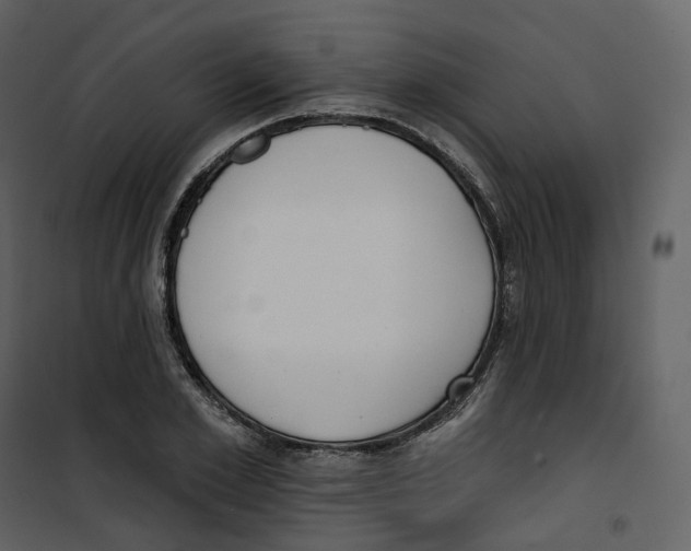 X0000100750981200807171407
