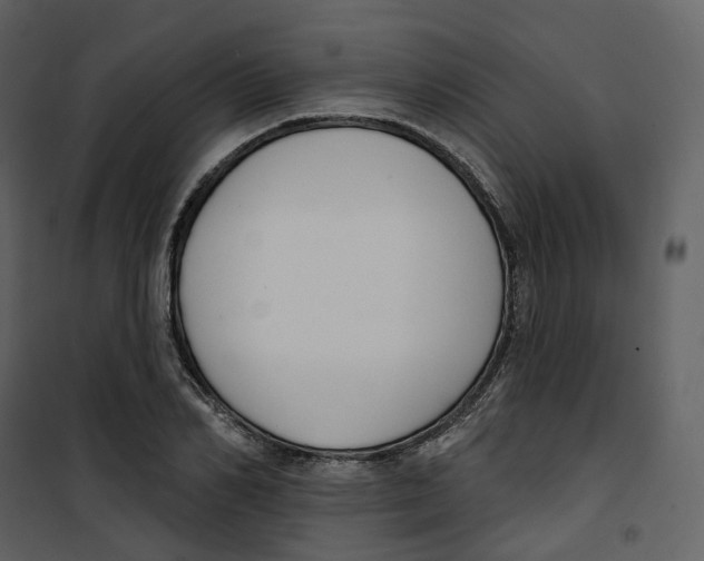 X0000100750982200807171407