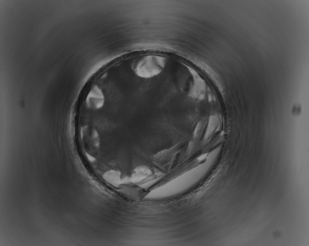 X0000100750983200807171407