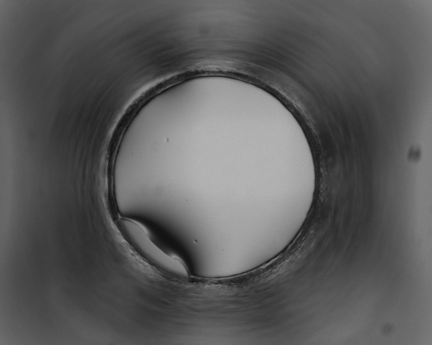 X0000100750984200807171407