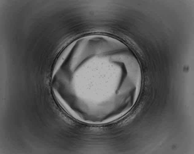 X0000100750985200807171407