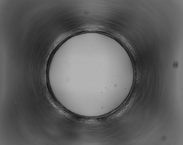 X0000100750986200807171407