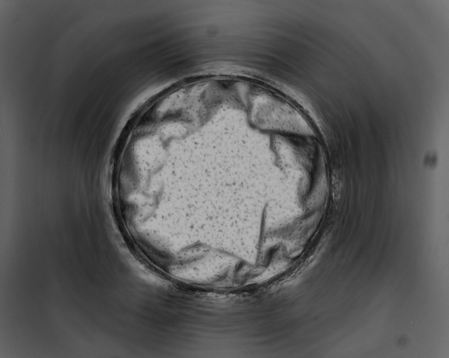 X0000100750987200807171407