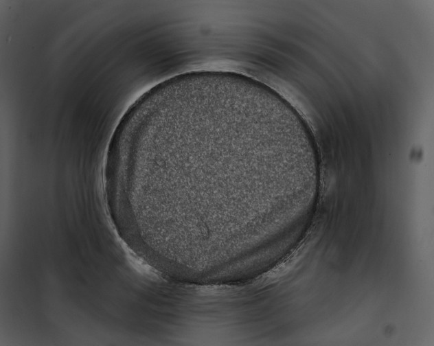 X0000100750988200807171407