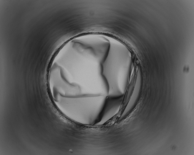 X0000100750990200807171407