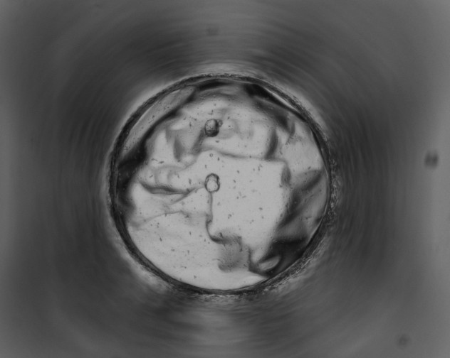 X0000100750991200807171407