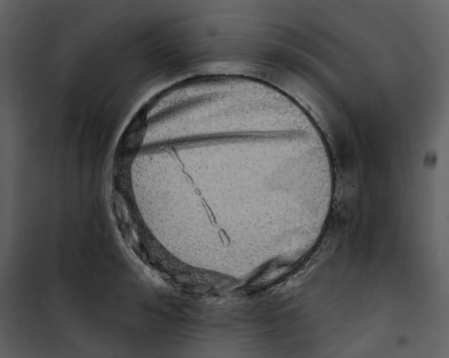 X0000100750992200807171407