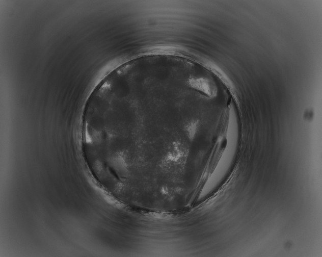 X0000100750994200807171407