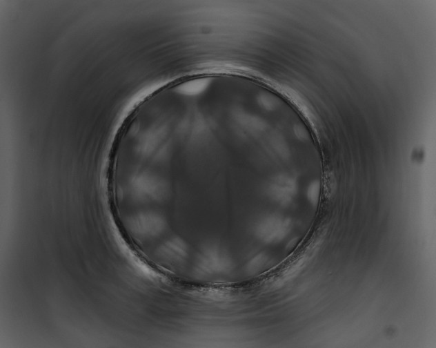 X0000100750995200807171407