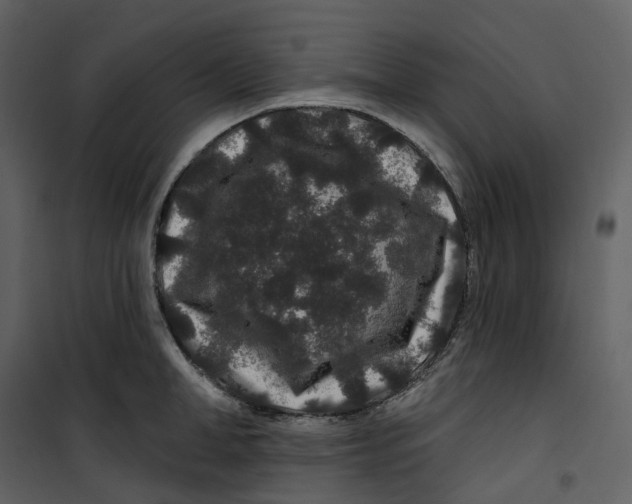 X0000100750998200807171407