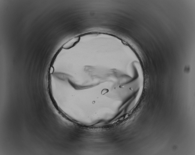 X0000100750999200807171407