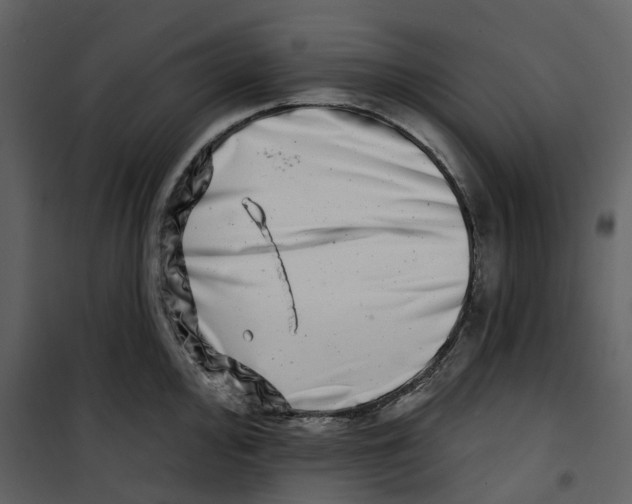 X0000100751000200807171407