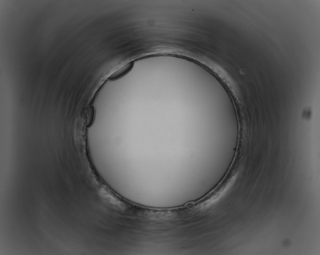 X0000100751001200807171407